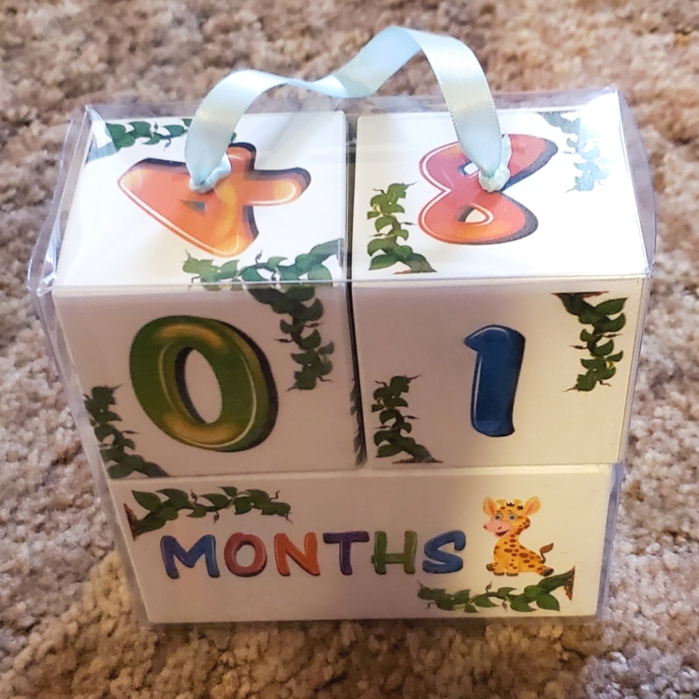 Monthly milestone blocks & gender reveal balloon